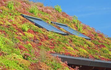Bushy Common living roof systems