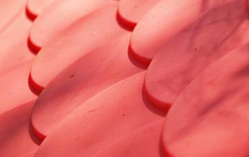 Bushy Common plastic roof costs