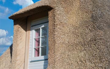 Bushy Common thatch roof disadvantages